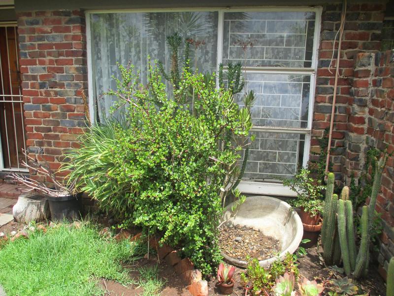 2 Bedroom Property for Sale in Pellissier Free State